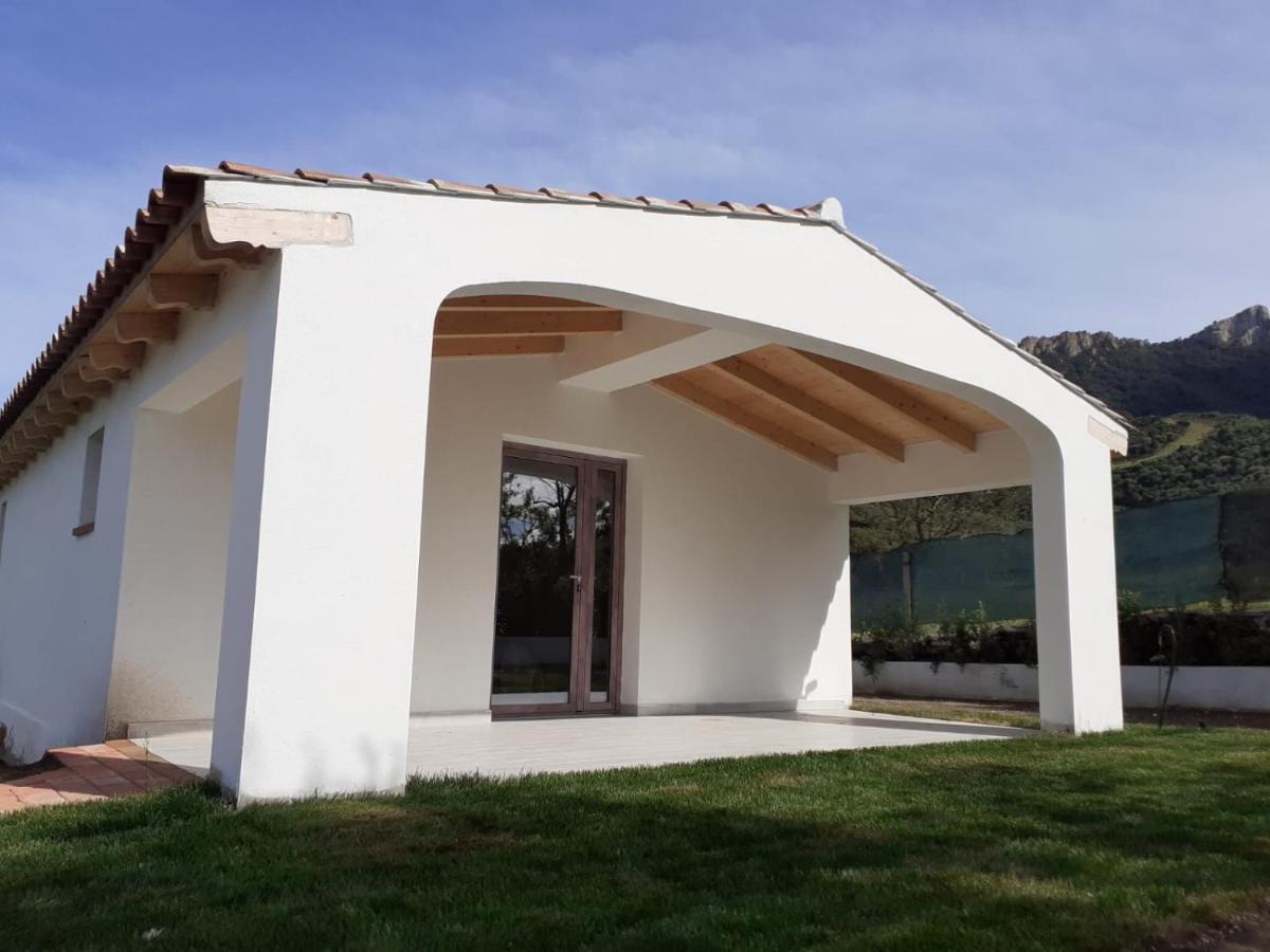 Sardama B&B Affittacamere Torpe Ngoại thất bức ảnh