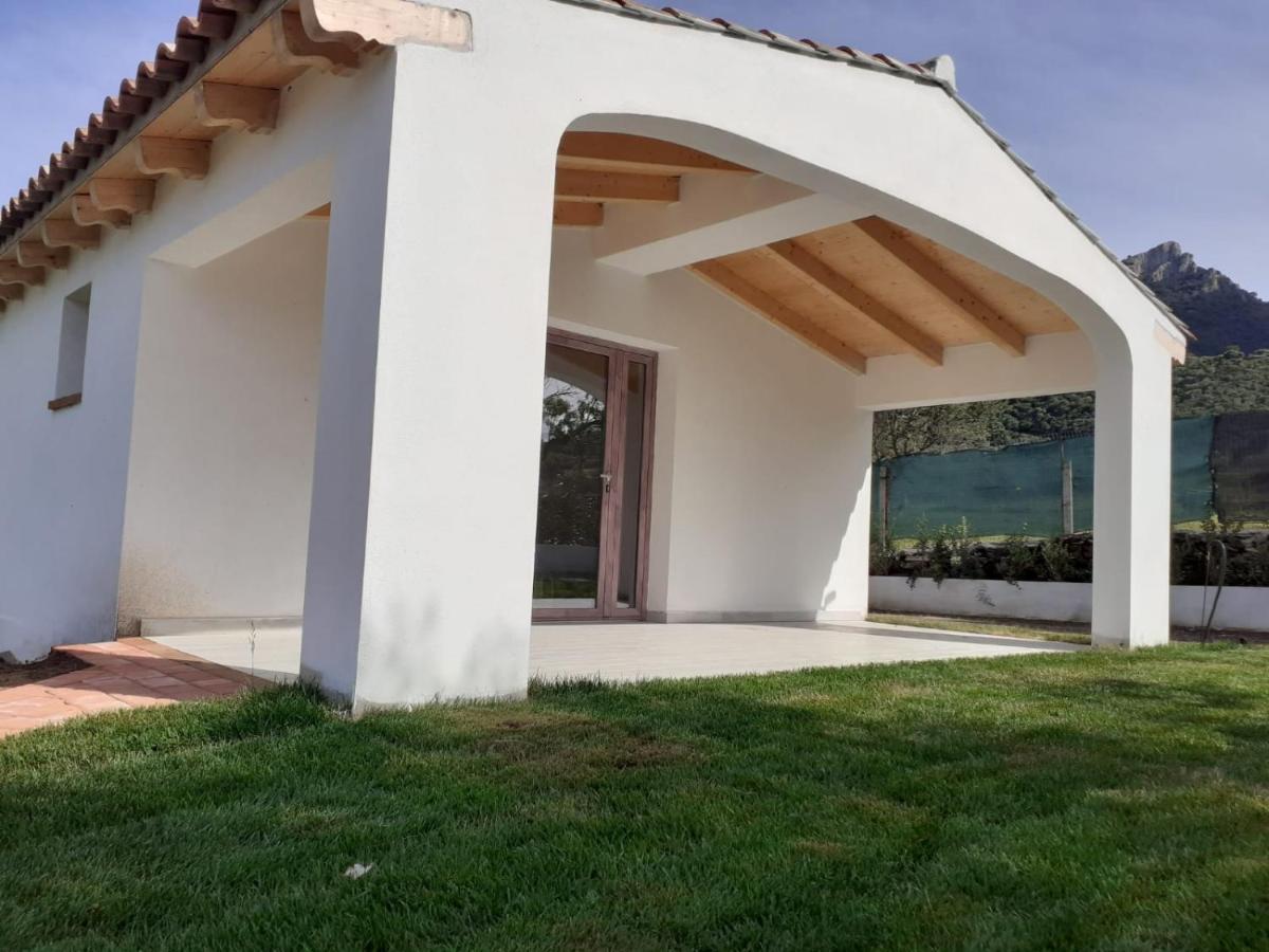 Sardama B&B Affittacamere Torpe Ngoại thất bức ảnh